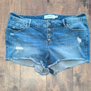 Torrid Blue Distressed Denim Shorts